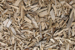 biomass boilers Belluton